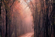 旅游促进各民族交往交流交融丨在北庭故城读懂中华文明的统一性