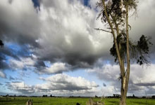 旅游促进各民族交往交流交融丨在北庭故城读懂中华文明的统一性